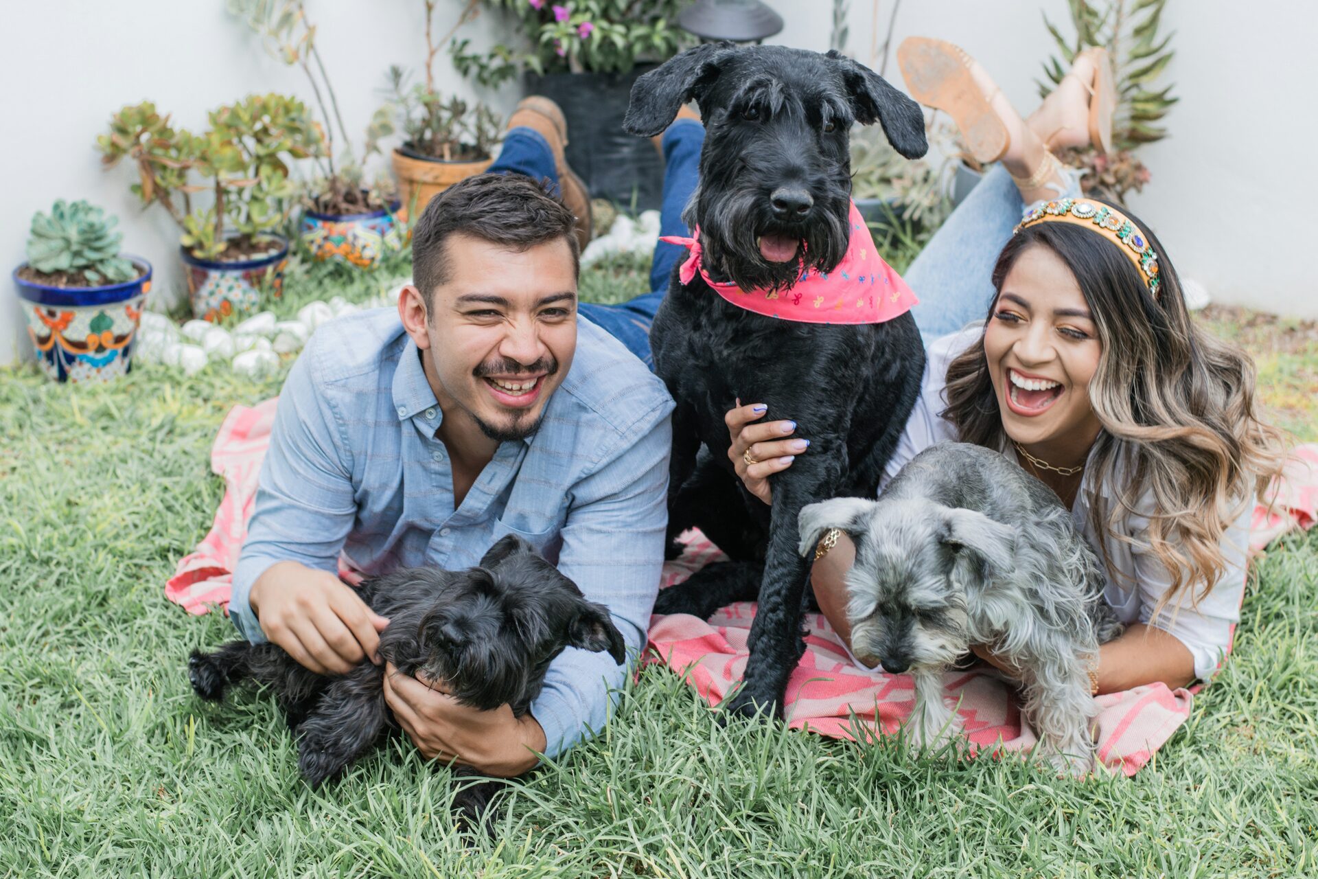 Local family with their dogs
